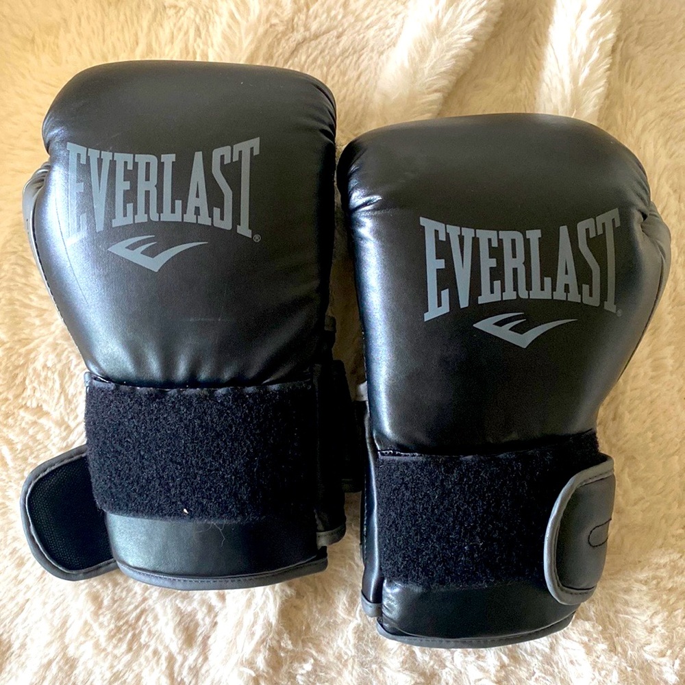 Everlast Boxing Gloves + free handwraps